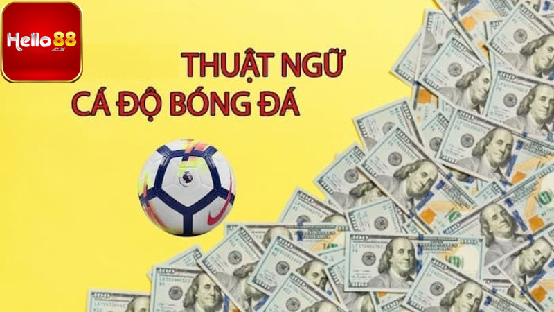 Giải thích thuật ngữ cá độ bóng đá